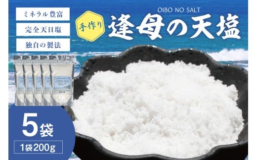 手作り天然塩　【逢母の天塩】200g×5パック
