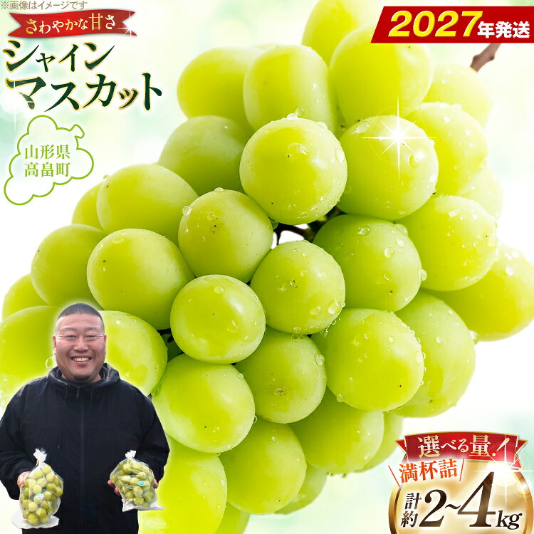 【ふるさと納税】 【期間限定発送】【2027年発送】 シャインマスカット 【選べる内容量】 3〜5房 満杯詰め 約 2kg / 6〜10房 満杯詰め 約 4kg [本田農園 山形県 高畠町 tk06ays820006] ぶどう ブドウ 葡萄 マスカット 大粒 粒 つぶ ツブ 種なし 果物 くだもの フルーツ