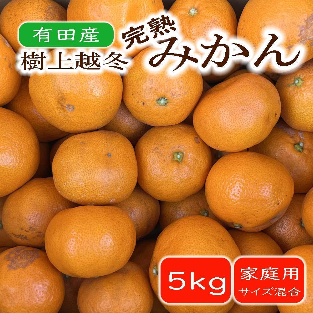【ふるさと納税】【濃厚・まろやか】有田産樹上越冬完熟みかん約5kg（ご家庭用）★2026年1月下旬頃より順次発送 | フルーツ 果物 くだもの 食品 人気 おすすめ 送料無料 定期便 産地直送