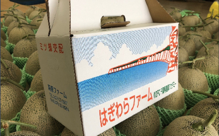 先行予約 ラブコール メロン 5玉 果物 フルーツ 高糖度 甘い 青肉 ケーキ ゼリー ジュース 贈答用 プレゼント ギフト 送料無料 千葉県 銚子市 はぎわらファーム 発送時期 2025年7月~(な