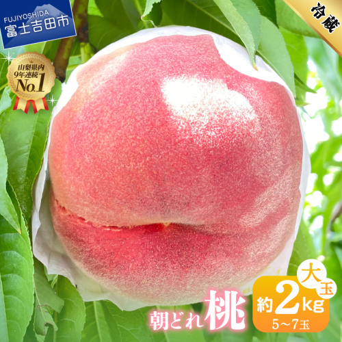 【2027年発送 先行予約】山梨の朝どれ桃2kg　大玉4玉～7玉