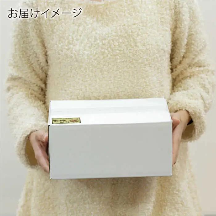【定期便】牛肉切り落とし 600g NAC127 牛肉切り落とし 全12回