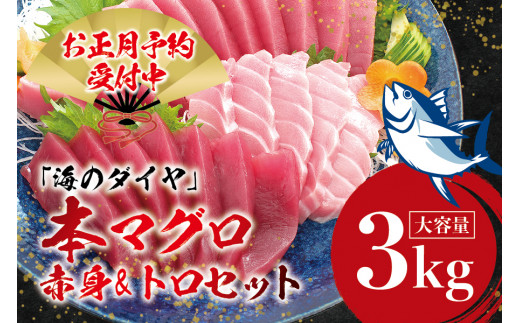 
＼ 年末発送！配送時期が選べる ／本マグロ（養殖）トロ＆赤身セット 3kg 【お正月は自宅で高級マグロ！年末発送予約受付中】 / 中トロ 中とろ まぐろ マグロ 鮪 刺身赤身 柵 じゃばらまぐろ 年内配送 年内発送 お正月 正月
