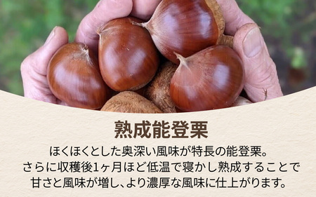 【先行予約】東井栗園の能登熟成栗（生栗） 1.5kg（4Lサイズ） ～能登の大地で育った能登栗～【2025年10月中旬以降順次発送】/  能登半島 奥能登 くり 生栗 マロン 和栗 焼き栗 栗ごはん 