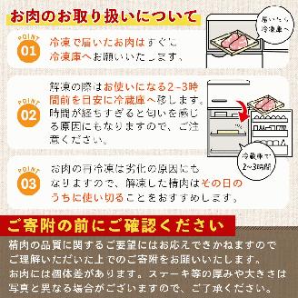 ＜定期便・全5回＞鹿児島県産黒毛和牛と黒豚のしゃぶしゃぶセット(各300g×2×5回・計3kg)【ナンチク】T1-v01