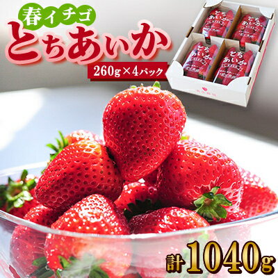 【ふるさと納税】【春イチゴ】『とちあいか』(260g×4パック)【配送不可地域：離島】【1389987】