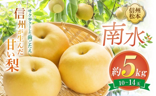 【先行受付】南水 10～14玉 約5kg｜ふるさと納税 松本市 南水 果物 フルーツ 梨 なし ジューシー 果肉 美味しい 人気