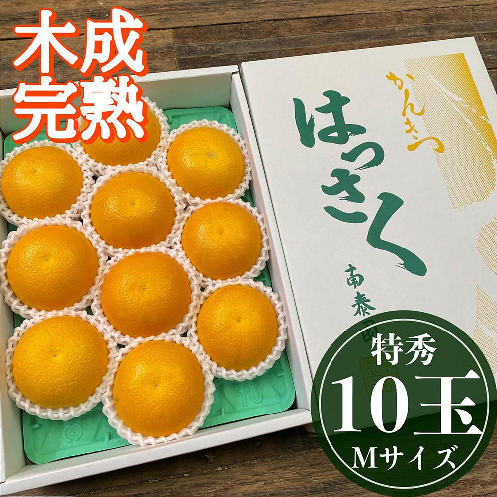 【ふるさと納税】4月 まで 木成 完熟 させた 有田 はっさく 特秀 M × 10玉 化粧箱 南泰園 みかん | 先行予約 和歌山 果物 くだもの フルーツ 柑橘 蜜柑 はっさく 木成り 完熟 特秀 化粧箱 ブランド 取り寄せ ご当地 期間限定