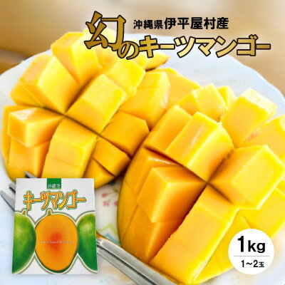 【ふるさと納税】伊平屋産の幻のキーツマンゴー約1kg(1～2玉)【1497062】