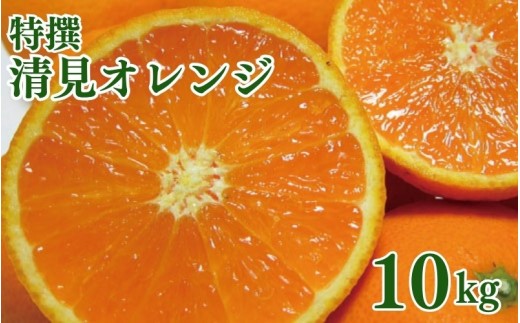 
                  特撰　清見オレンジ 10kg+200g(補償分)【2027年2月下旬～5月上旬頃に順次発送予定】【ard263】
                