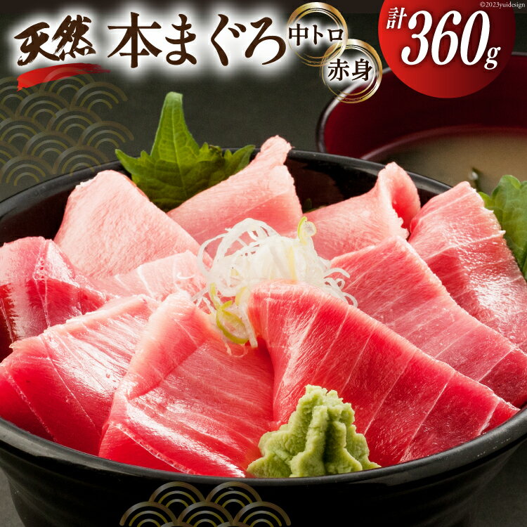 【ふるさと納税】昭福丸の天然本まぐろ (中トロ・赤身) 各180g 計360g [臼福本店 宮城県 気仙沼市 20563782] 魚 鮮魚 刺身 トロ 天然本マグロ マグロ まぐろ 鮪 本まぐろ 本マグロ 本鮪 冷凍 感想