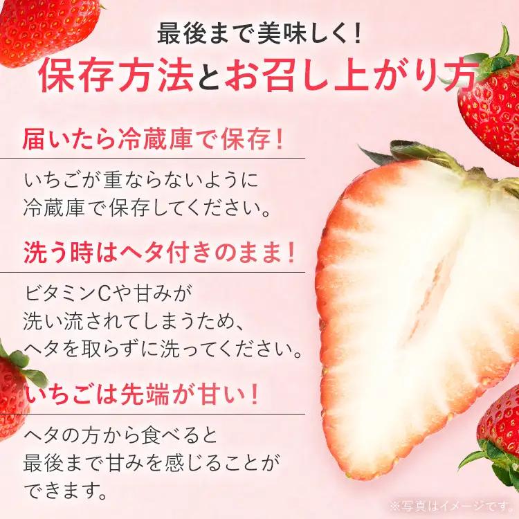 いちご   農家直送完熟いちご かおり野 4パック 【2027年2月上旬～4月末頃に順次発送】 いちご  