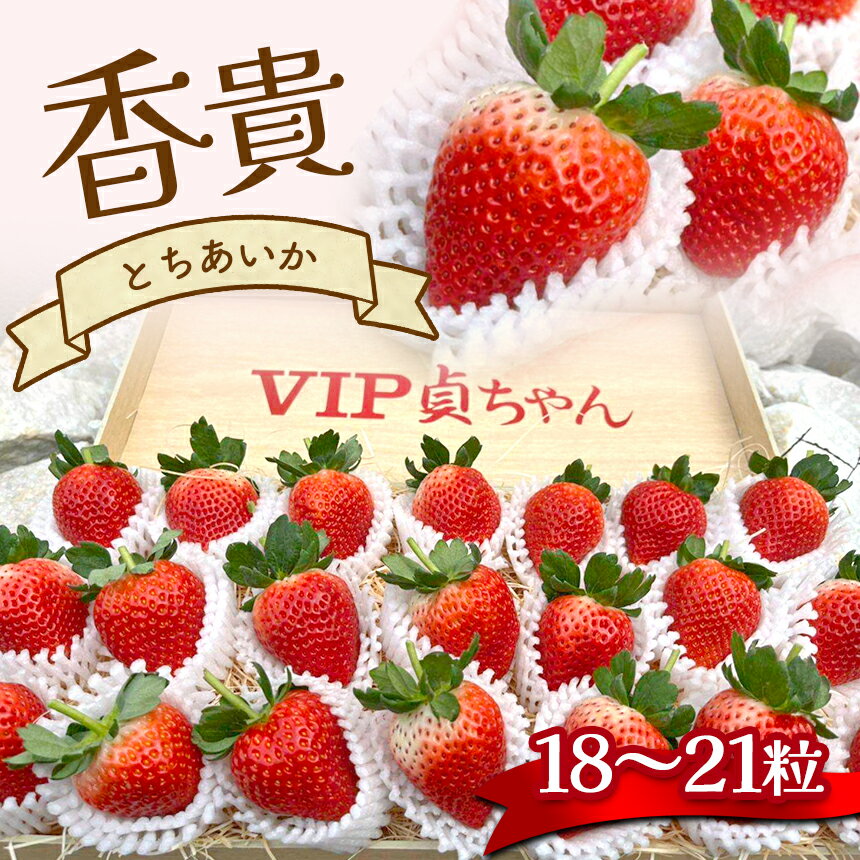 【ふるさと納税】とちあいか 香貴 18 ～ 21粒 高級 高価 贅沢 ぜいたく 大きい ここだけ ＜ 発送期間 ： 1月 上旬 ～ 2月 中旬 ＞ | いちご 苺 イチゴ ストロベリー フルーツ 果物 名産品 希少品種 数量限定 期間限定 あまい 甘い 栃木県 真岡市 送料無料