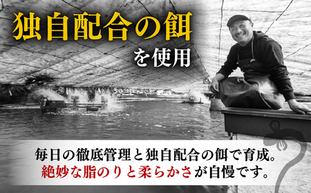 【 鰻白焼 】 国産 うなぎ白焼 660g ( 220g × 3尾 )