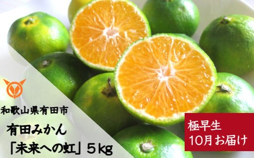 
                  【10月お届け】有田みかん「未来への虹」（5kg）(A1035-1)
                
