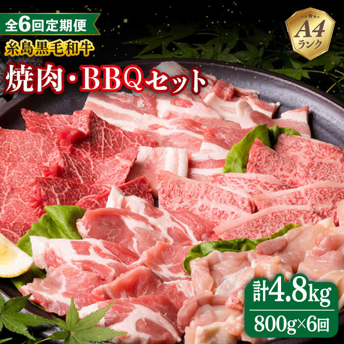 【ふるさと納税】【全6回定期便】焼肉・バーベキュー セット 計800g 牛モモ 牛バラ 豚バラ 豚肩ロース 鶏もも肉 糸島市 / 糸島ミートデリ工房 [ACA273] 110000円 11万円