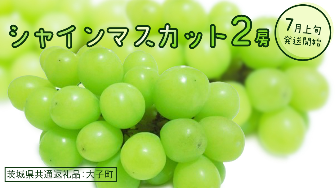シャインマスカット ２房(茨城県共通返礼品：大子町) ぶどう 葡萄 ブドウ マスカット フルーツ 果物 スイーツ