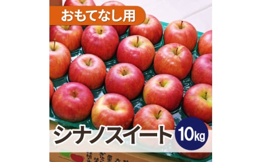 ＜25年11月より順次発送＞平均糖度13度以上! シナノスイート 約10kg おもてなし用【1609642】