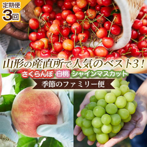 【定期便3回】山形の産直所で人気のベスト3！さくらんぼ・白桃・シャインマスカット【季節のファミリー便】 FZ25-223