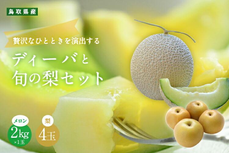 924.【ふるさと納税】【青肉系メロン】ディーバ（メロン）と旬の梨セット※離島への配送不可（北海道、沖縄本島は配送可能） 313726_BQ002