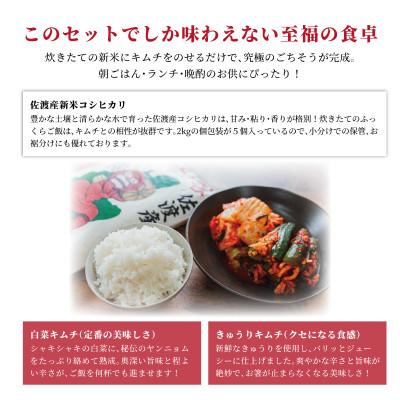 ふるさと納税 佐渡市 キムチの家 白菜キムチ・きゅうりキムチ各500g食べ比べと佐渡産新米コシヒカリ精米10kgセット |  | 02