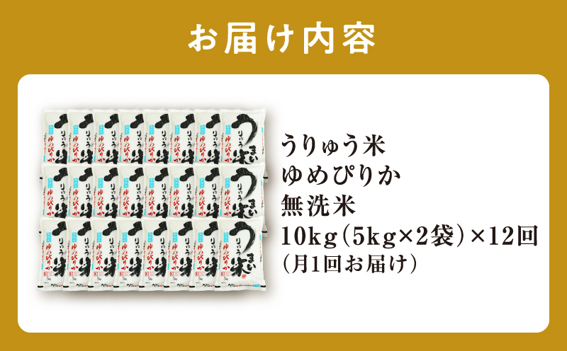 【定期便全12回】【新米予約】 令和7年産 うりゅう米 ゆめぴりか 無洗米 10kg（5kg×2袋）毎月1回お届け お米 米 ごはん ご飯 12ヶ月 連続お届け 定期便 特A 新米 単一原料米 お弁当
