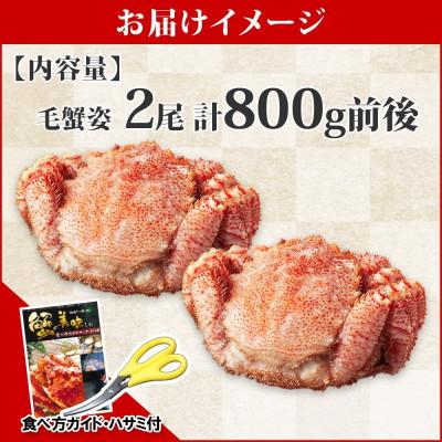 ふるさと納税 弟子屈町 毛蟹 姿 2尾 計800g前後 ボイル 食べ方ガイド・専用ハサミ付 北海道 弟子屈町 2563 |  | 03