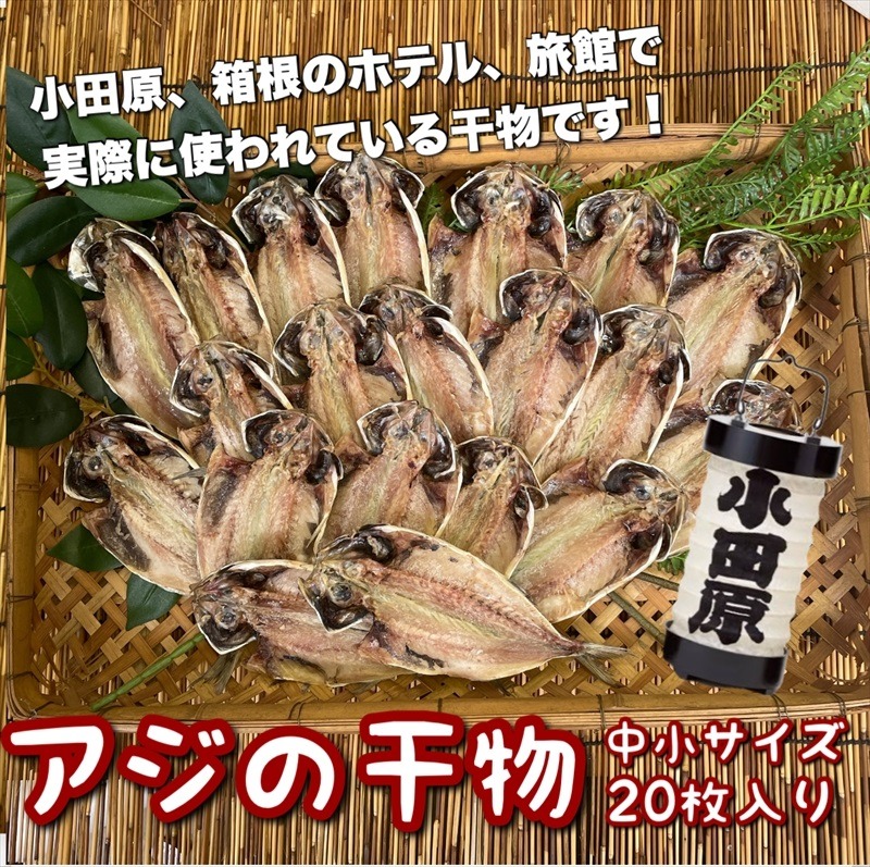 104-3086 鯵の干物 中小サイズ 20枚セット