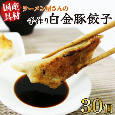 ふるさと納税 大船渡市 餃子 30個