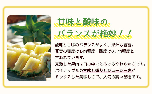 ＜先行予約＞ 石垣島産 有機パイナップル ハワイ種 2～4玉 (約2.8kg)《7月上旬順次発送》| パイナップル パインアップル 石垣島パイン フルーツ 果物 くだもの 南国フルーツ 国産パイン E
