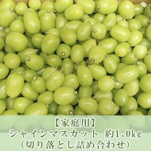 家庭用　9月以降発送 シャインマスカット 約1.0kg 【 切り落とし 詰め合わせ 】 ｜ シャインマスカット