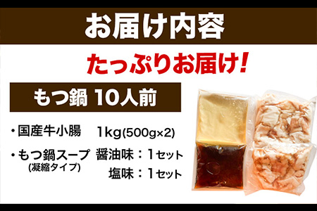 国産 博多牛もつ鍋10人前 (?油味・塩味) 《60日以内に出荷予定(土日祝除く)》もつ 牛もつ もつ鍋 ?油 塩 博多 鍋 送料無料