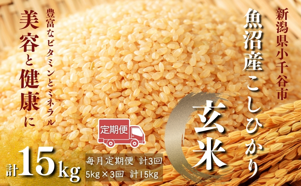 【玄米 選別品】令和7年産 魚沼産コシヒカリ 玄米 定期便5kg×3回 （毎月お届け）米太【0020-KT07DB00-02】