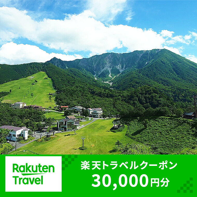 【ふるさと納税】RV-08　大山町の対象施設で使える楽天トラベルクーポン 寄付額100,000円 鳥取県 鳥取 大山町 大山 返礼品 ご当地