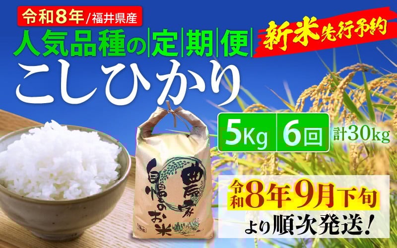 
                  【令和8年産新米・先行予約】定期便 ≪6ヶ月連続お届け≫ こしひかり 5kg × 6回（計30kg） 令和8年 福井県産 人気品種の定期便！【玄米 対応可】【令和8年9月下旬より順次発送】 [e35-i001]
                