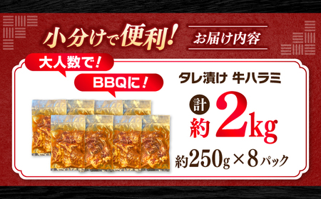 タレ漬け 牛ハラミ 約250g×8パック 計約2kg【焼肉寛十郎】小分け 個包装 味付け タレ たれ 高知県 お肉 牛肉 贅沢 焼き肉 BBQ バーベキュー 訳あり わけあり ワケアリ はらみ[ATD