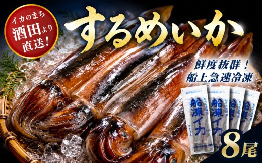 するめいか 2尾 4袋  計8尾 冷凍便 釣りたて 急速冷凍 産地直送 小分け 新鮮 いか いか飯 刺身 いかソーメン 刺し身 海産物 魚介 イカ焼き 塩辛 フライ いかのまち酒田 いか釣り漁船団 山形県漁業協同組合 山形 酒田 SB0401
