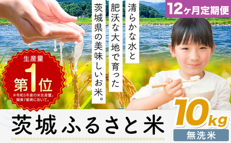 【12ヶ月定期便】米 茨城 ふるさと米 無洗米 10kg《申込月の翌月より出荷開始》