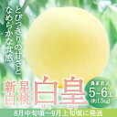 【ふるさと納税】固めの 桃 2025年 先行予約 白桃 白皇 (はくおう) 5～6玉入り(約1.5kg) 贈答用 もも モモ 岡山県 赤磐市産 国産 フルーツ 果物 ギフト　果物・もも・桃・フルーツ　お届け：2025年8月中旬～2025年9月上旬