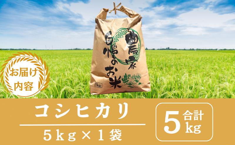【先行予約】無洗米令和8年産 コシヒカリ 5kg 【 お米 米 コメ 精米 南丹市 】