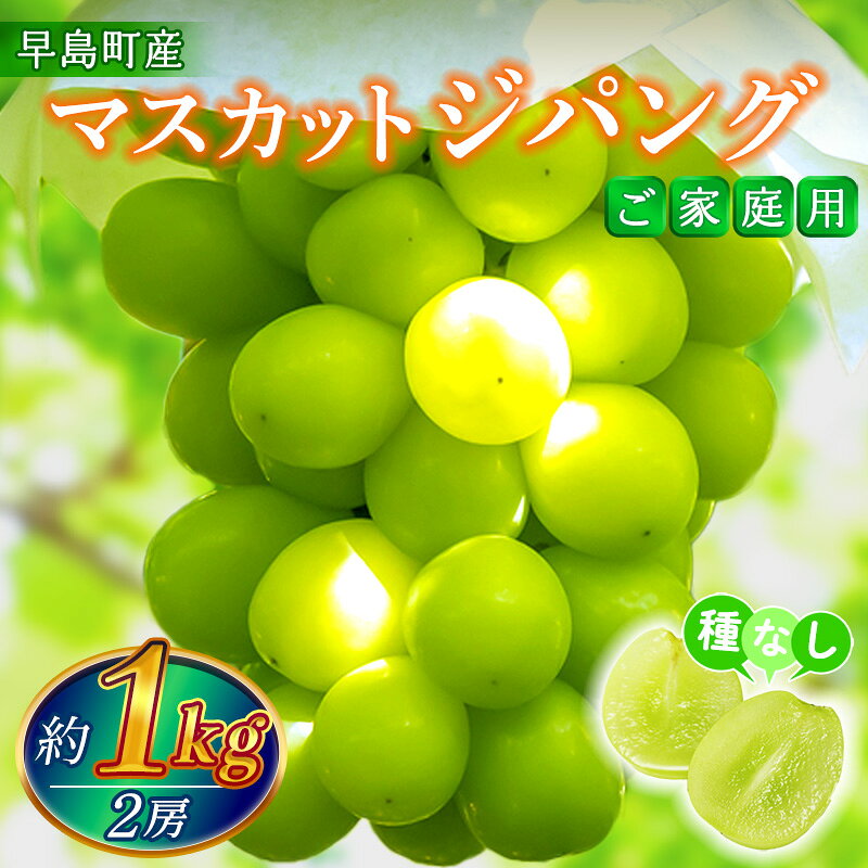 【ふるさと納税】【家庭用】マスカットジパング（2房・1kg程度）（林果樹園）