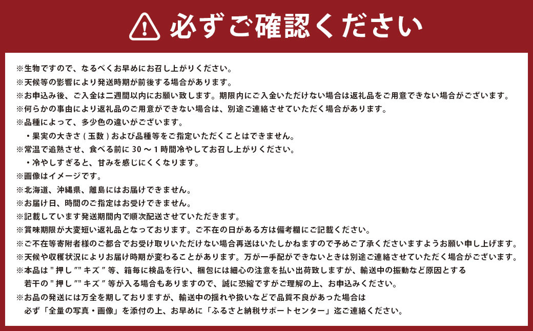 岡山 白桃 エース 3玉×約200g 計約600g 岡山県産
