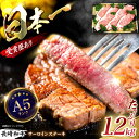 【ふるさと納税】長崎和牛サーロインステーキ 計1.2kg（200g×6枚）/ 国産 牛 牛肉 ステーキ ステーキ肉 サーロインステーキ さーろいんすてーき さーろいん すてーき 厚切り / 諫早市 / 長崎県央農業協同組合　Aコープ本部 [AHAA011]