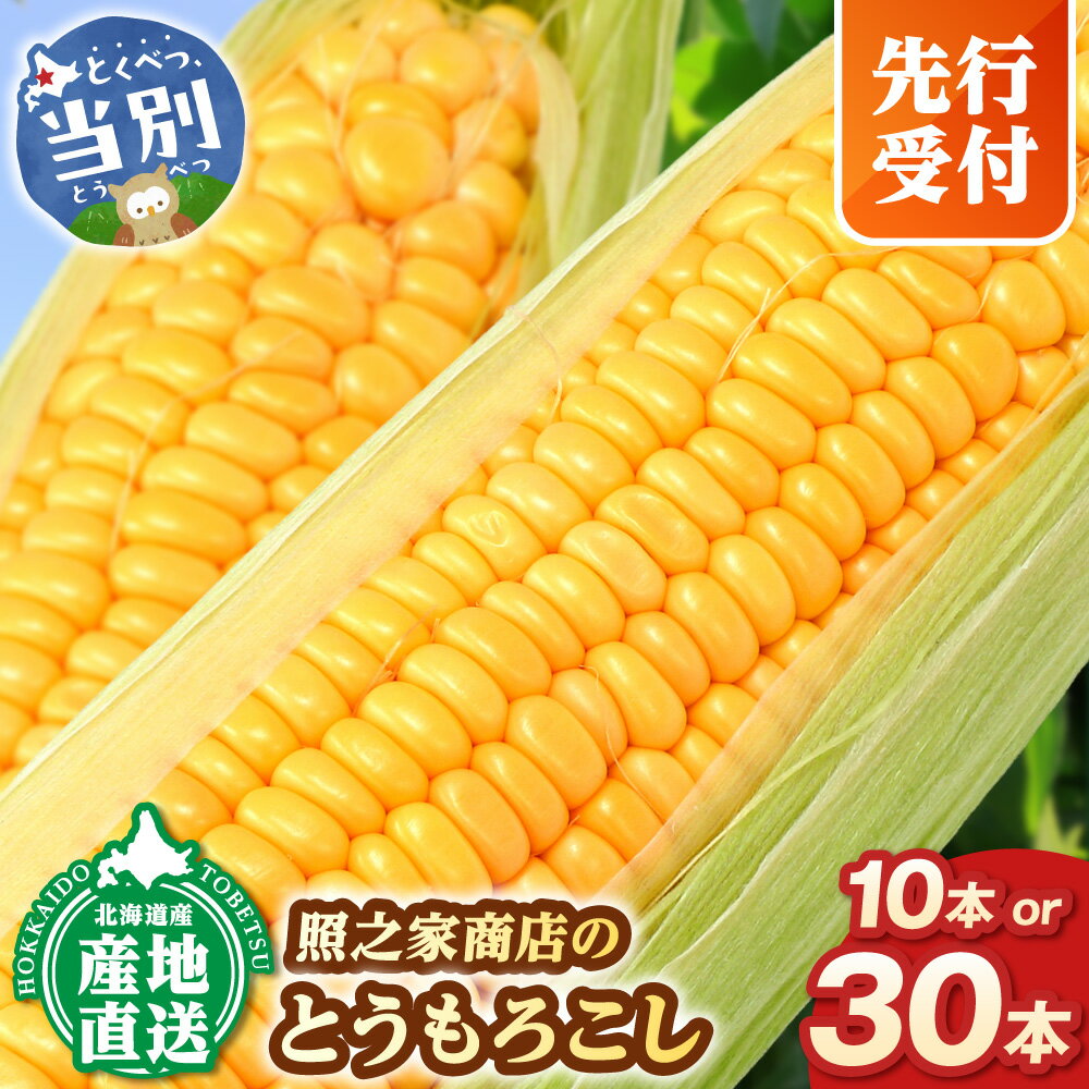 【ふるさと納税】【2026年先行予約】照之家商店鮮度抜群とうもろこし 10本 30本 選べる　《2026年8月上旬-9月中旬頃出荷》