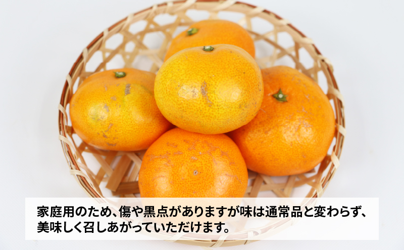 温州みかん 早生温州 家庭用 9kg 玉津柑橘倶楽部 B010-072001