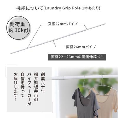 ふるさと納税 坂井市 daim ランドリーポール 滑り止め付 グレー 屋内用[A-18403] |  | 03