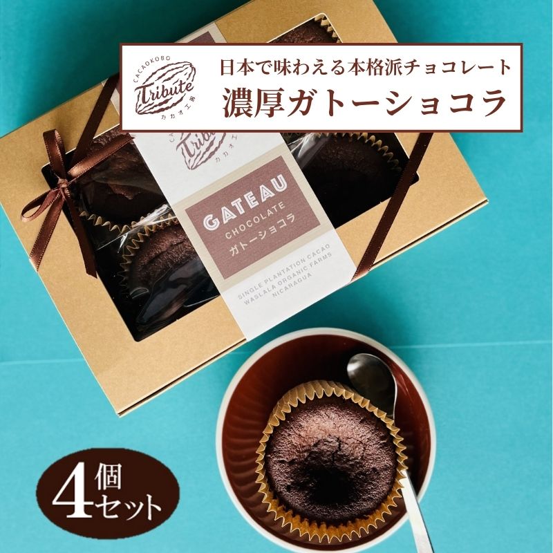 【ふるさと納税】ガトーショコラ 4個 日本で味わえる本格派 濃厚ガトーショコラ 洋菓子 焼き菓子 菓子 お菓子 おやつ デザート スイーツ 濃厚チョコレートケーキ ケーキ チョコケーキ チョコレートケーキ チョコレート菓子 ギフト プレゼント 東京 東京都 豊島区