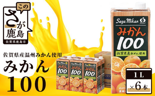 
サンレイ みかん100 1L × 6本 果汁100％ みかんジュース みかん 温州みかん オレンジジュース ジュース 飲み物 ふるさと納税 佐賀県 鹿島市 B-459
