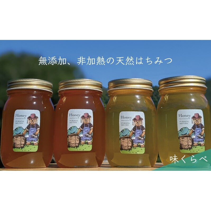 【先行予約 2025年6月20日より発送】合計2400g 天然蜂蜜 国産蜂蜜 非加熱 生はちみつ 岐阜県 美濃市産 味比べ 蜂蜜600g入りガラス瓶 4本セットC4 深田養蜂のハチミツ_イメージ1
