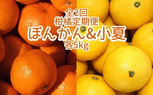 【先行予約】全2回定期便 特産柑橘フルーツ各５kg（ぽんかん＆小夏 ）5キロ みかん ミカン 果物 果実 果肉 デコポンの親 日向夏 おやつ デザート 甘い 美味しい 国産 ギフト 贈答 【J00005】